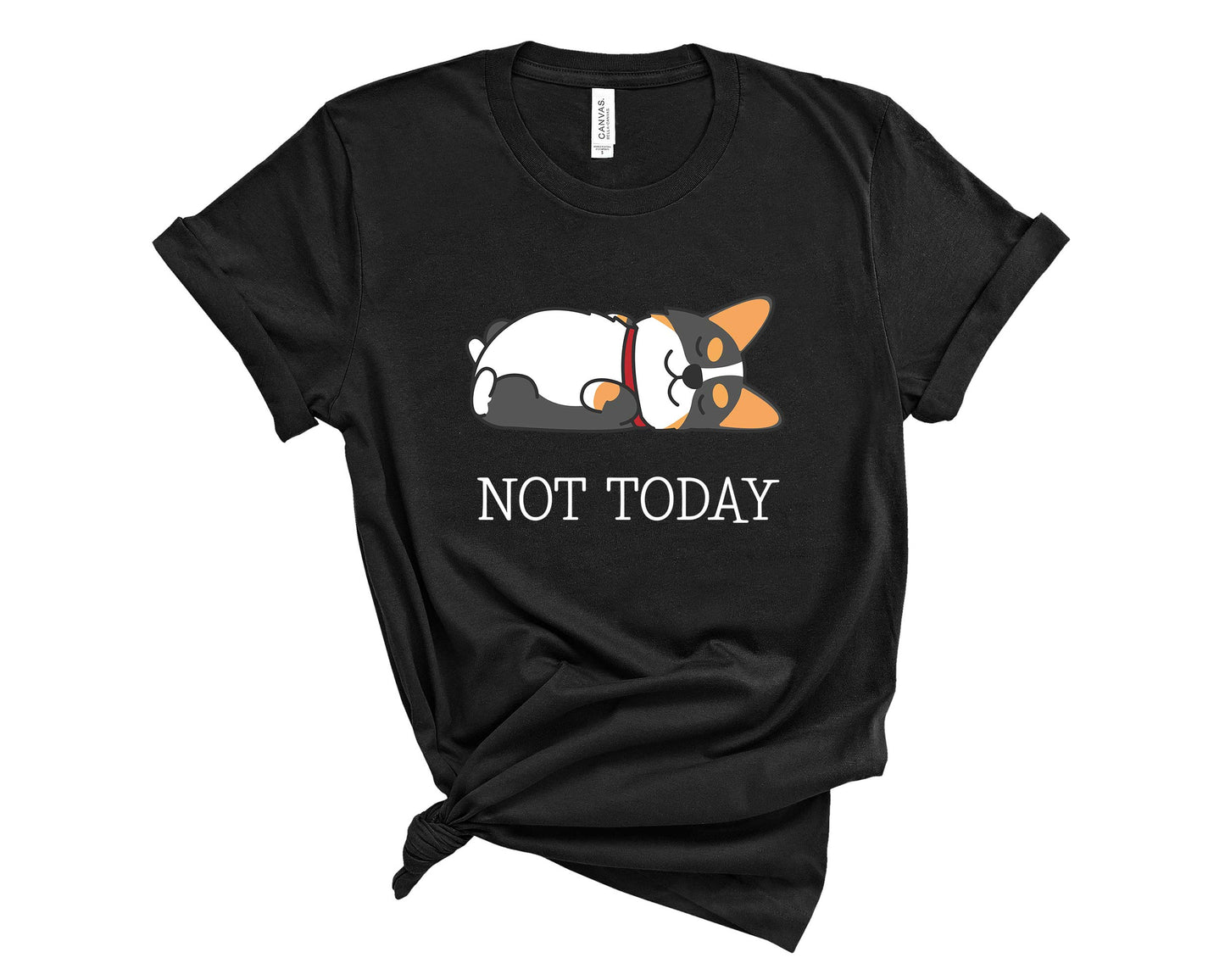 Tricolor Corgi Not Today T-Shirt