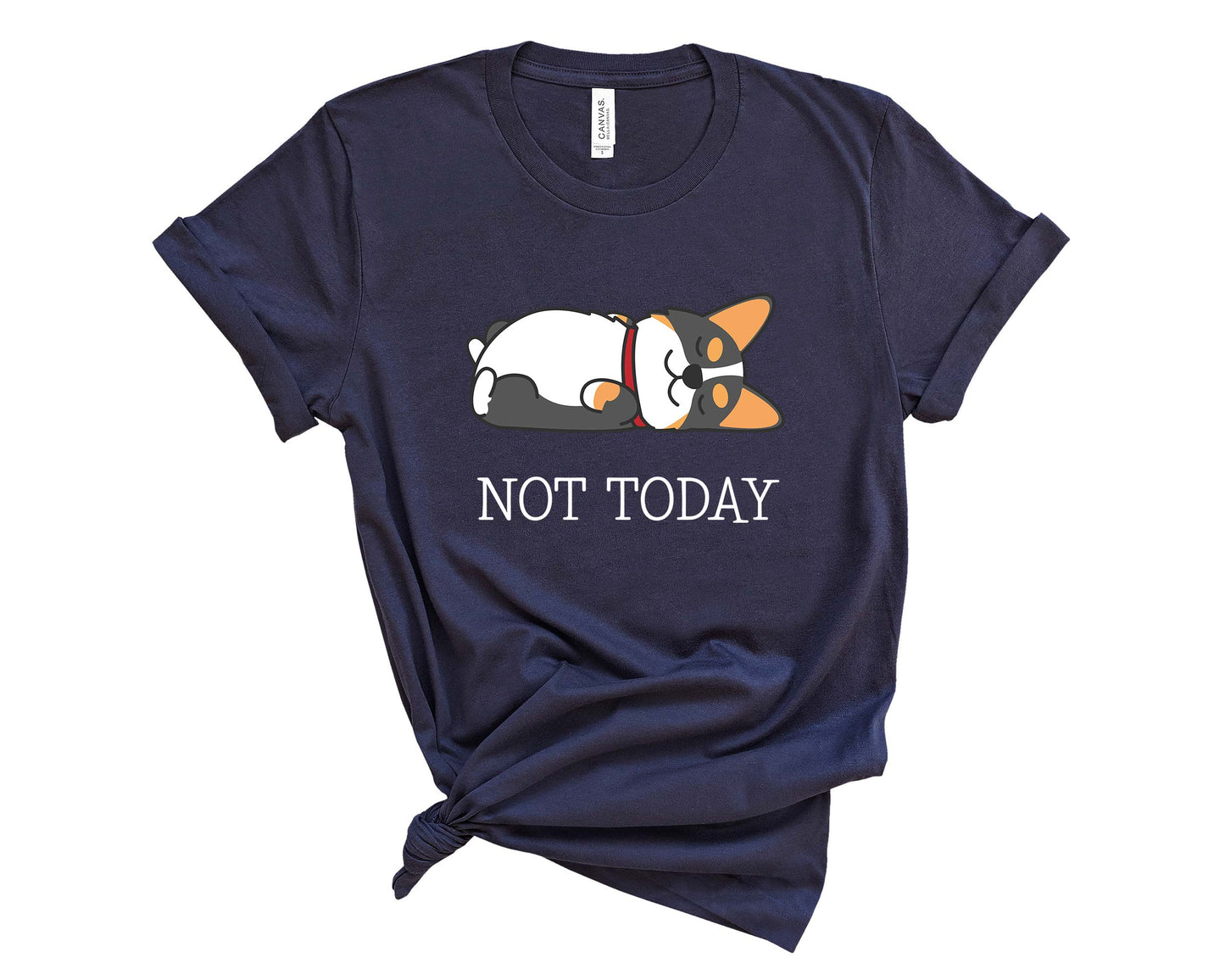 Tricolor Corgi Not Today T-Shirt