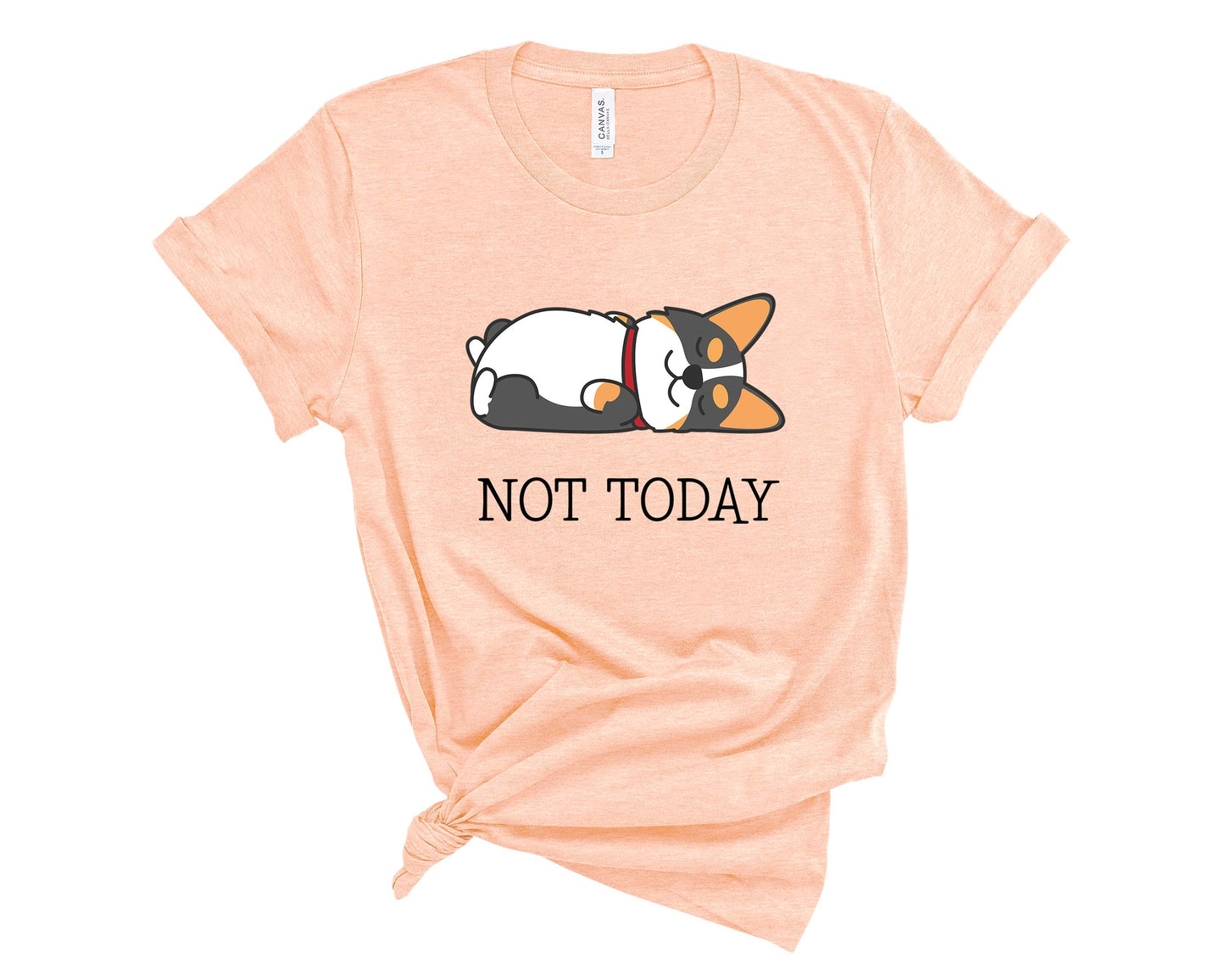 Tricolor Corgi Not Today T-Shirt