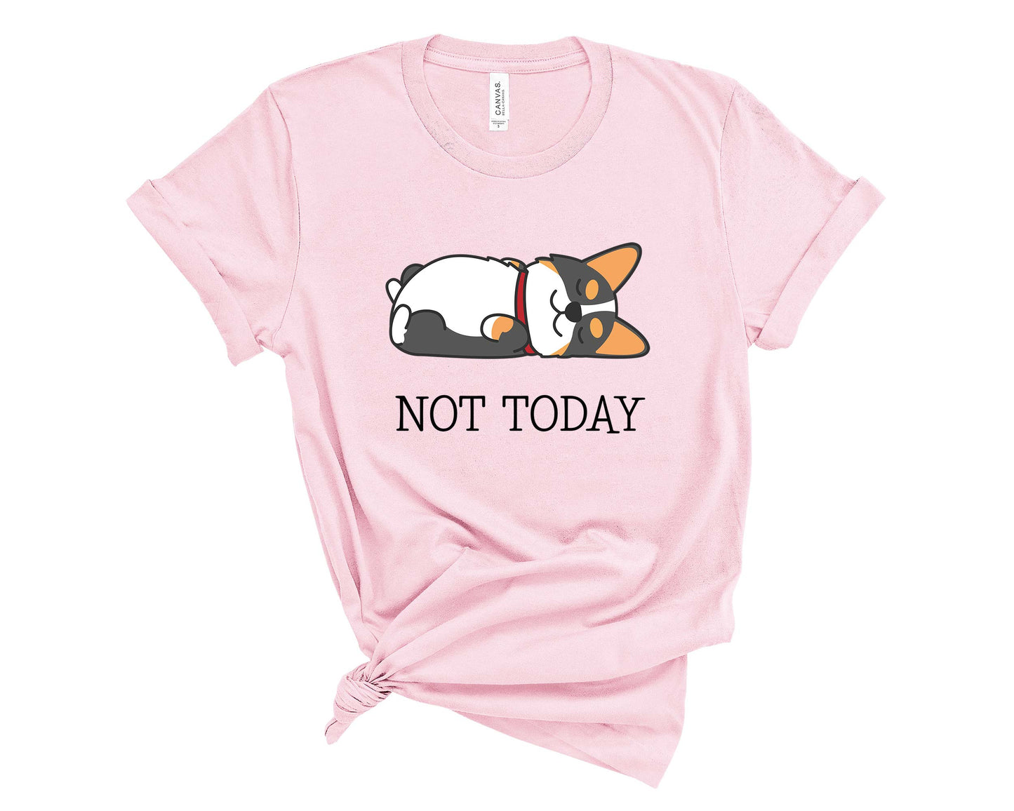 Tricolor Corgi Not Today T-Shirt