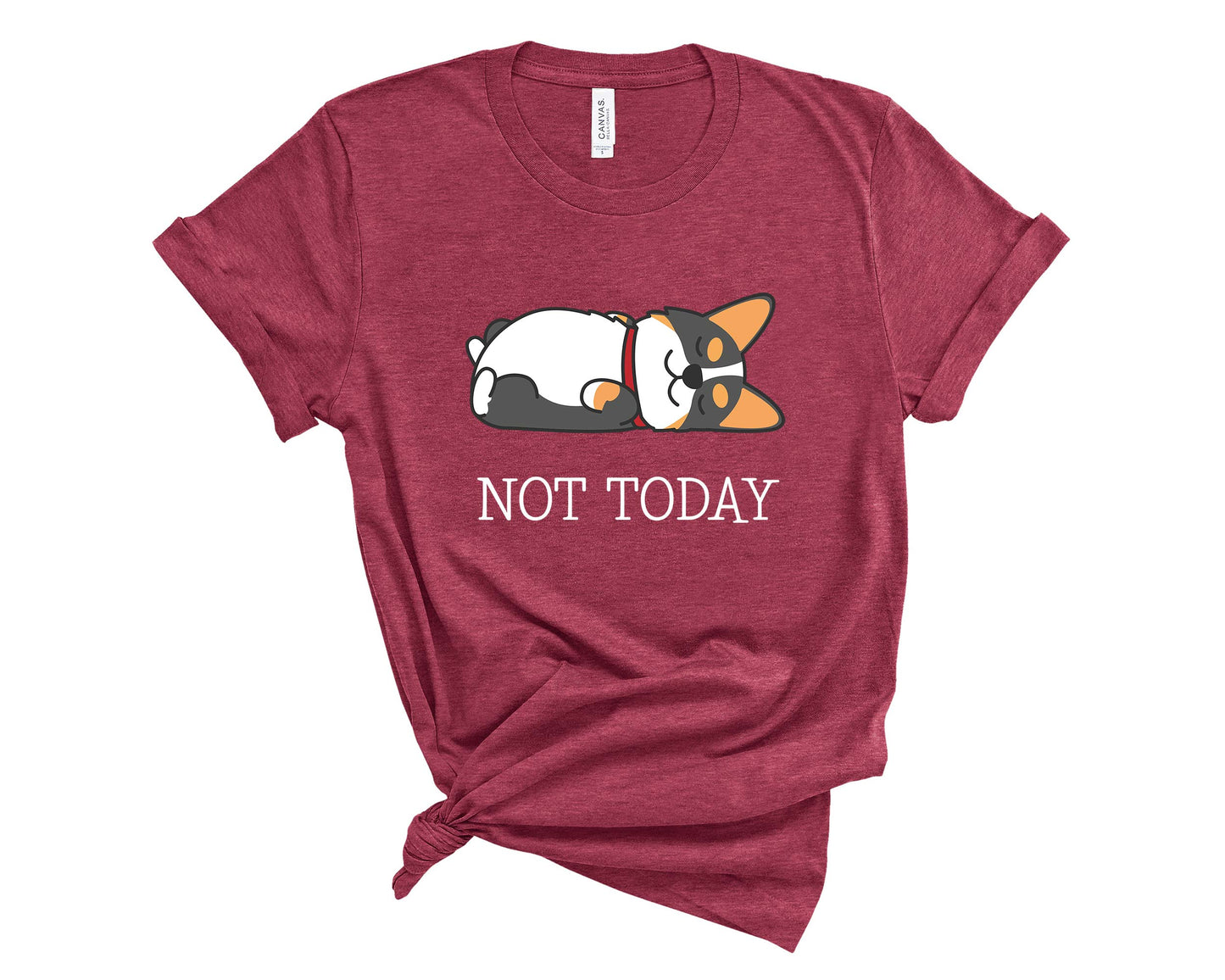 Tricolor Corgi Not Today T-Shirt