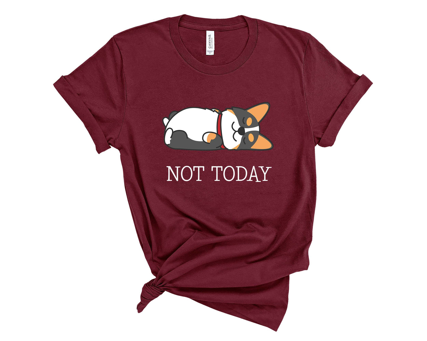 Tricolor Corgi Not Today T-Shirt